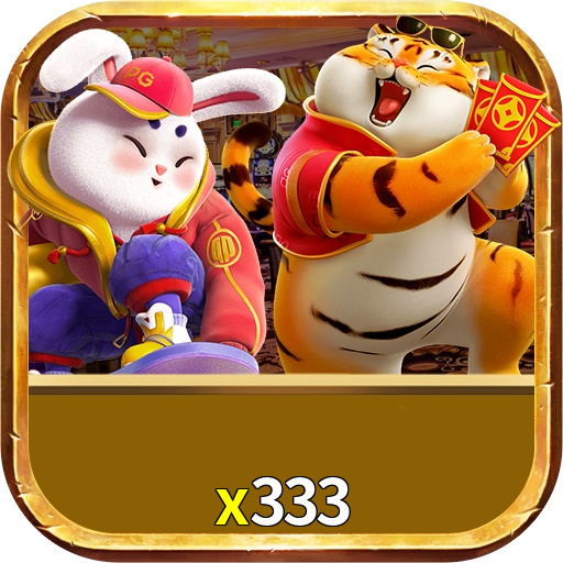 x333